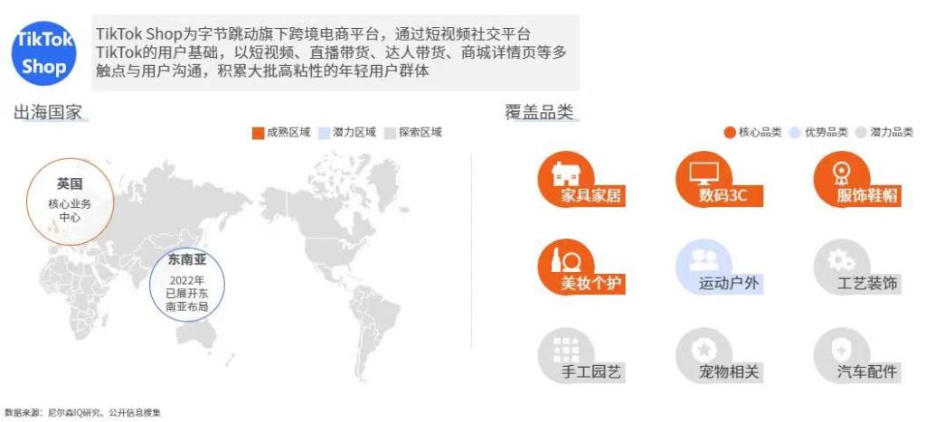 尼尔森IQ 2023年中国跨境电商平台出海白皮书 的第 11 張內文圖片