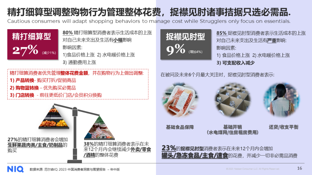 尼尔森IQ 2024年中国快消品市场五大趋势 的第 8 張內文圖片