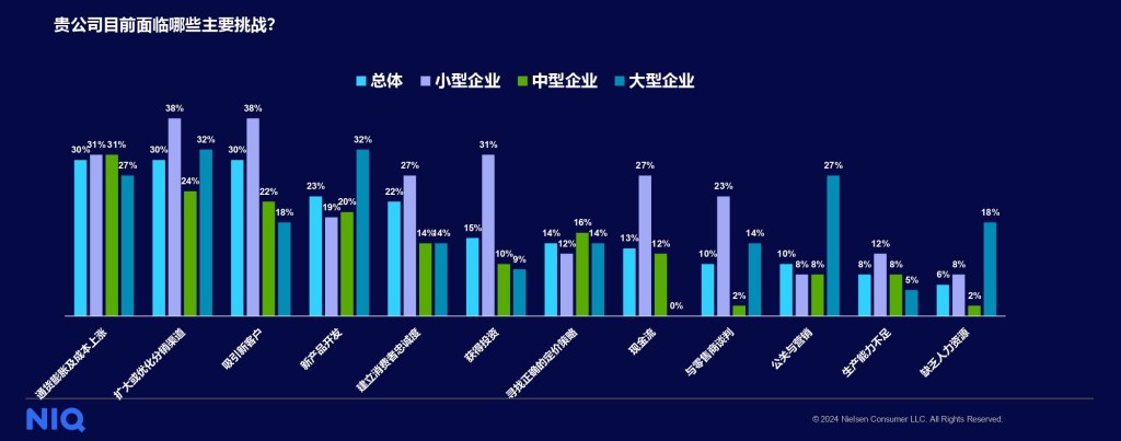 尼尔森IQ 2024年本土快消企业调研报告 的第 1 張內文圖片